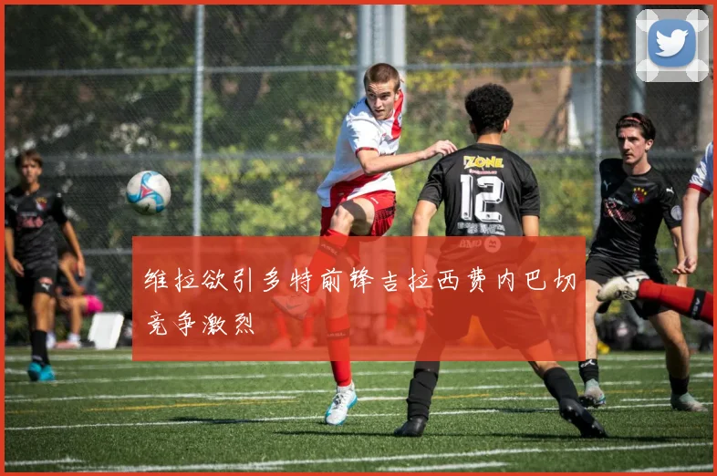 维拉欲引多特前锋吉拉西费内巴切竞争激烈