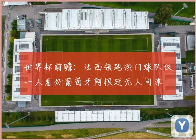 世界杯前瞻：法西领跑热门球队仅一人看好葡萄牙阿根廷无人问津